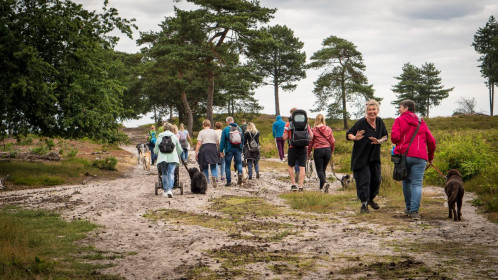 Hundewanderung der Hundeschule Goch