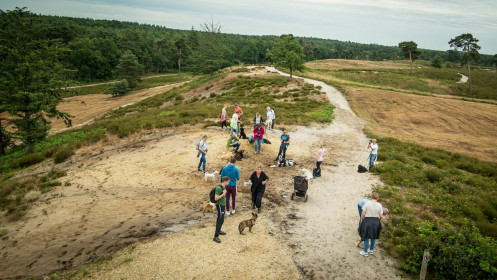 Hundewanderung der Hundeschule Goch