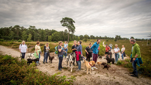 Hundewanderung der Hundeschule Goch