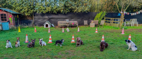 Hundeschule Goch Regina Brausch 02