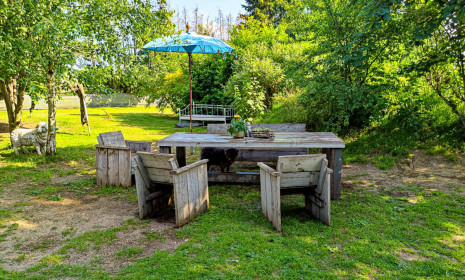 Kaffeetafel Hundeschule-Goch